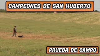 San Huberto: Demostración