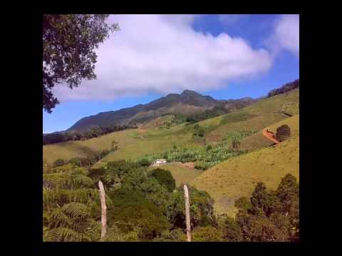 Zilo & Zalo - Vingança do Caçador