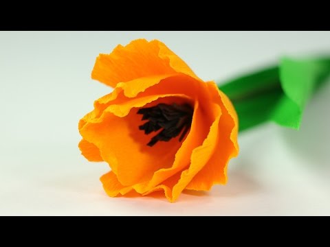 Paper Flowers Making - Super Easy Crepe Paper Flower DIY Craft
