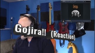 Gojira - Deliverance (Reaction)