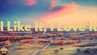 Tim McGraw - I Like It, I Love It (Lyrics)