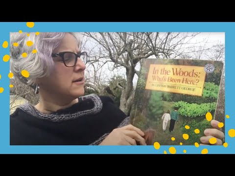 In the Woods: Who's Been Here? | Children's Books