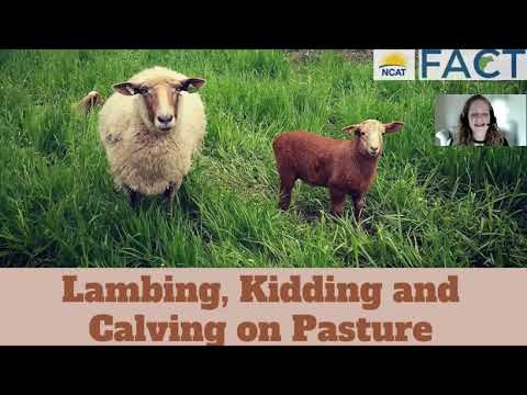 , title : 'Lambing, Kidding and Calving on Pasture'