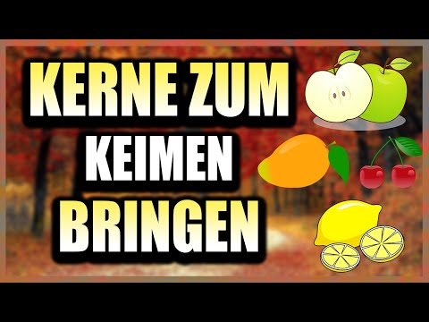 Making FRUIT NUCLEAR grow | SIMPLE! | Garden Time