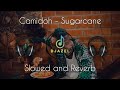 Camidoh - Sugarcane | Slowed and Reverb | Ghanaian Song