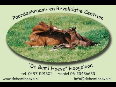 SOLD:Pomme Pidou v.Komme Casall x Etoulon x Verdi