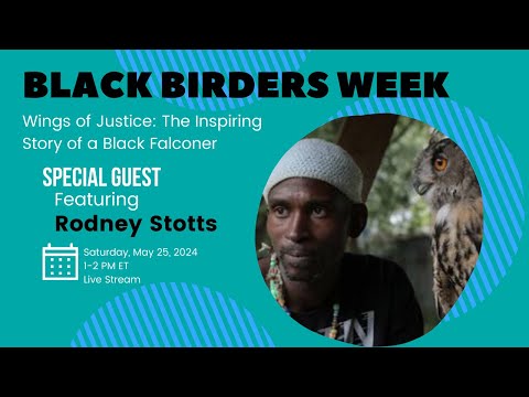Black Birders Week - Wings of Justice: The Inspiring Legacy of a Black Falconer