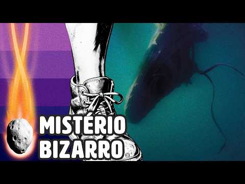 POR QUE MAIS DE 15 PÉS HUMANOS DENTRO DE TÊNIS APARECERAM NO MAR? | PLANTÃO