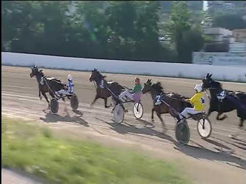 Trotto 06/06/2019 - 7ª corsa