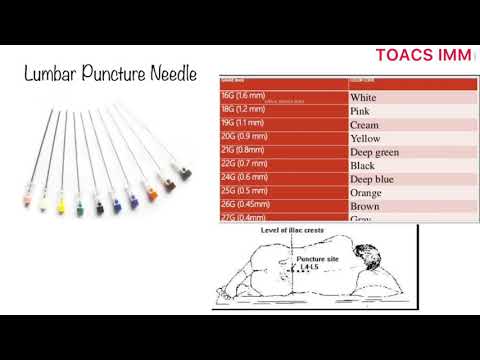 image-What gauge is a spinal needle?