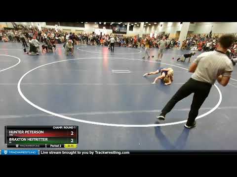 98 Lbs Champ. Round 1 - Hunter Peterson, MN Vs Braxton Heitritter, IA 8d73