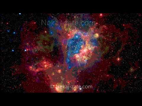 Zbudi se, človek ☑️