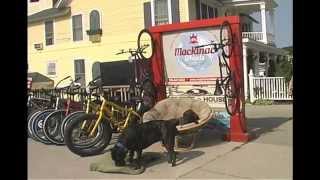 preview picture of video 'Mackinac Wheels - Mackinac Island, Michigan'