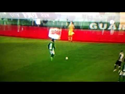 Guarani 2 X 0 Santa Cruz - Melhores momentos Brasileirão serie B