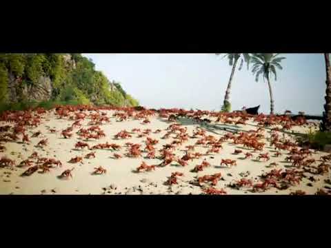 MEME DO CARANGUEJO DANÇANDO