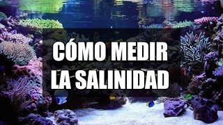 🤔 ¿Cómo MEDIR la SALINIDAD de nuestro Acuario Marino? Uno de los mayores errores de la Acuariofilia