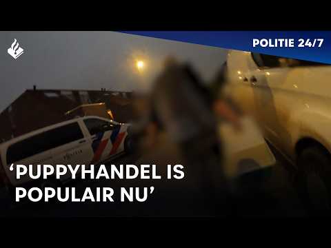Illegale puppyhandel | POLITIE 24/7
