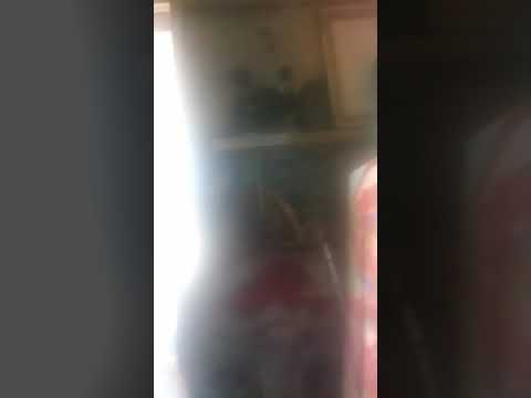 P1caso ft. Johnny dee ..  Fula fukin around