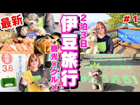 ピルラ・ビリディカタ、メス