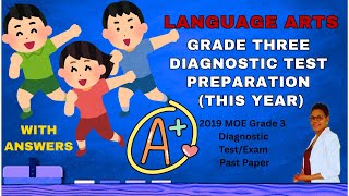 GRADE 3 LA DIAGNOSTIC TEST - PUNCTUATION, SENTENCE STRUCTURE, GRAMMAR, OPPOSITES, VOCABULARY &amp; MORE