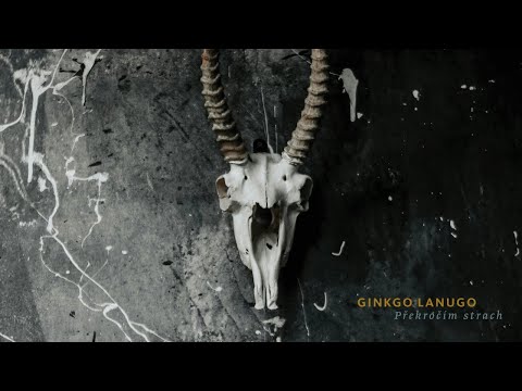 Ginkgo Lanugo - Překročím strach