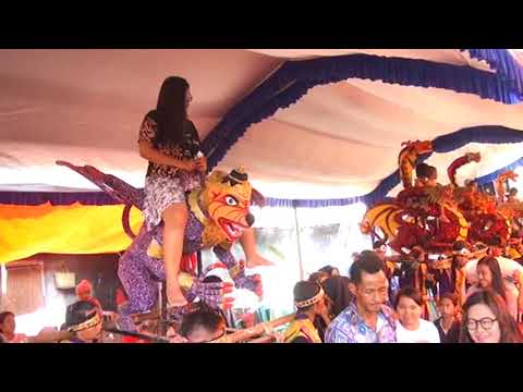 Download Download Lagu Dayuni Singa Dangdut Mp3 dan Mp4 Terupdate Gratis