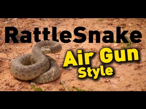 download lagu mp3 mp4 Gun Snake, download lagu Gun Snake gratis, unduh video klip Gun Snake