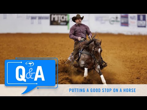 Putting a Good Stop on a Horse - Q&A