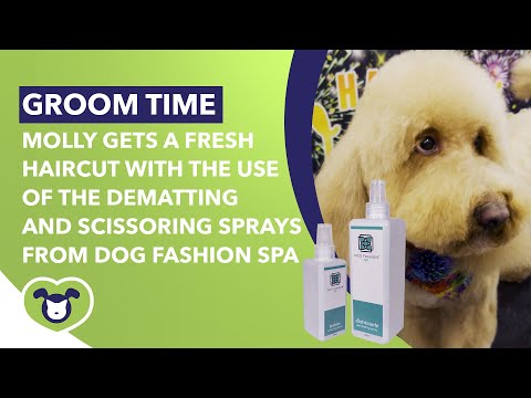 Molly Gets A Fresh Haircut