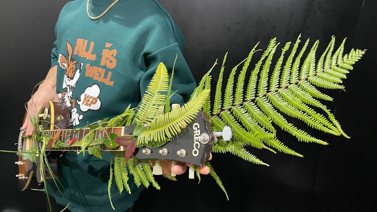 ギターの上で葉っぱ栽培してみた🌿