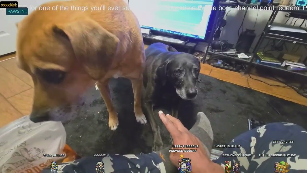 youtube VOD