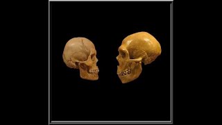 The Lost Age of Mankind (Part 1 of 2) - A conversation with Michael Cremo