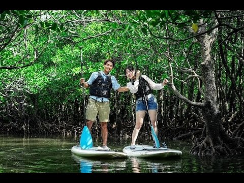 動画6