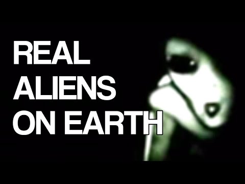 Proof of Real Aliens on Earth Caught on Tape Video