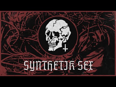 Verrottet | Synthetik Sex (Official Lyrics Video)