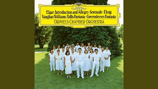 Download lagu Elgar: Elegy for Strings, Op. 58 mp3 Download lagu Elgar: Elegy for Strings, Op. 58 mp3