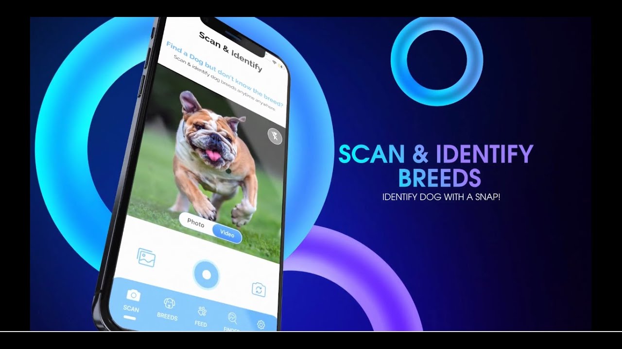 DOG IDENTIFIER : AI DOG BREED SCANNER