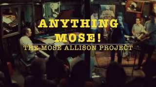 ANYTHING MOSE! || Your Molecular Structure