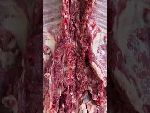 whole goat cutting in my town #shorts #youtubeshorts #justcut #lamb