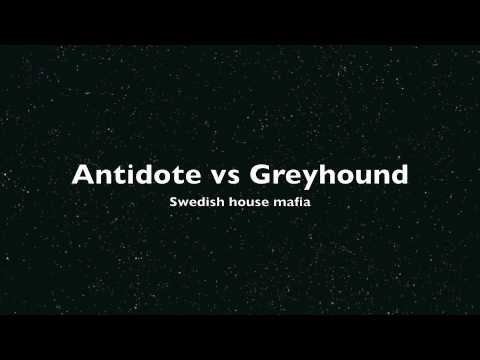 Antidote vs Greyhound