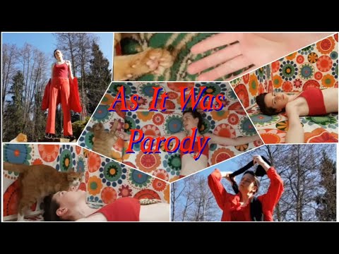 As It Was - Harry Styles PARODY WITH A CAT!