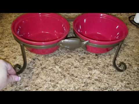 Review of SparkWorks Elevated Cat Feeding Station