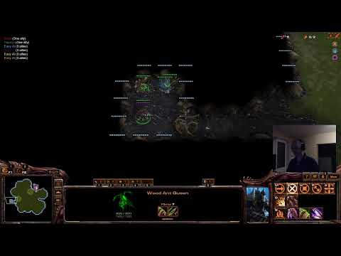 Shadow of the Xel'Naga ... #stream#02