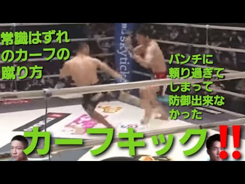 【カーフキック】朝倉海は何故負けた⁉️堀口恭司のカーフキックは何故当たる⁉️徹底解析‼️