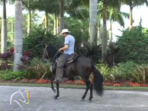 Mito Del Libano VO Con Fabio