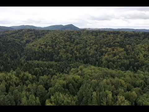 Miniatura filmu