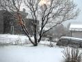 Schnee Am 18 April In Aalesund