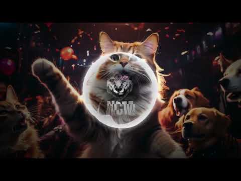 Rik Shaw - Alone Now Remix #bassboosted #bounce