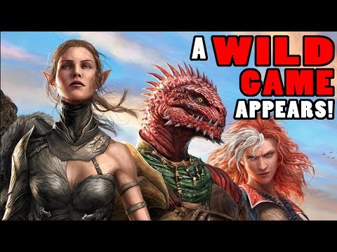 A Wild Game Appears! - Divinity: Original Sin 2