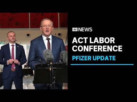 COVID-19 and euthanasia rights main agendas at ACT Labor Conference | ABC News